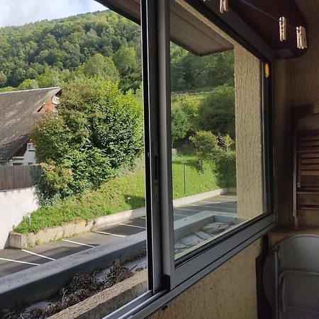 Appartement Confortable Saint Lary Village מראה חיצוני תמונה